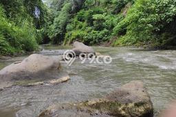 Tanah di Ubud, Gianyar Luas 5954m2 Dijual Segera Tanah di Ubud, Gianyar Luas 5954m2 Dijual Segera