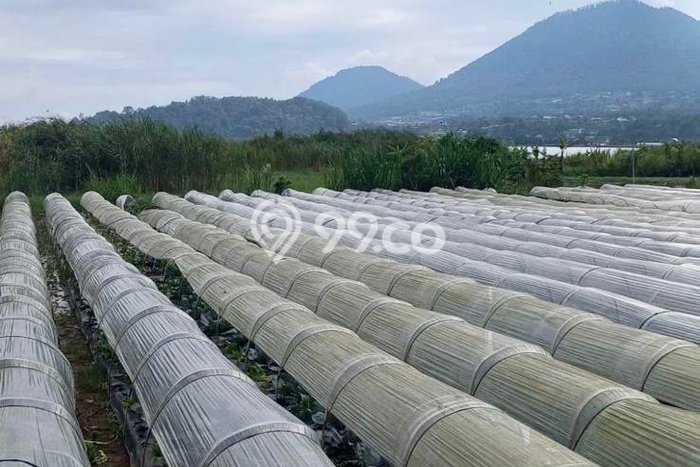 Lahan Dijual Lokasi Strategis di Tabanan dengan Luas 3300m2 Lahan Dijual Lokasi Strategis di Tabanan dengan Luas 3300m2