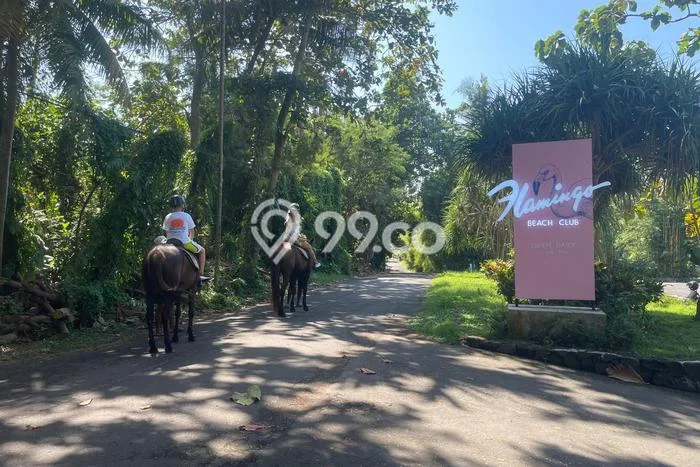 Kavling Tanah untuk Disewa di Saba Lahan Luas 428m2 Kavling Tanah untuk Disewa di Saba Lahan Luas 428m2