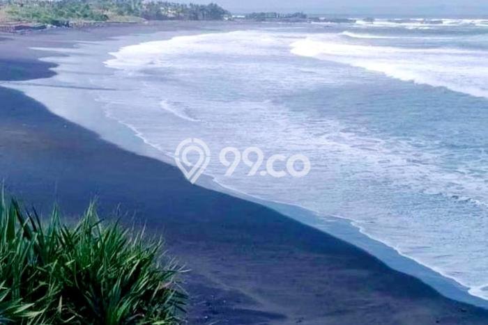 Tanah Kavling Dijual di Tabanan dengan Spesifikasi 3150m2 Tanah Kavling Dijual di Tabanan dengan Spesifikasi 3150m2