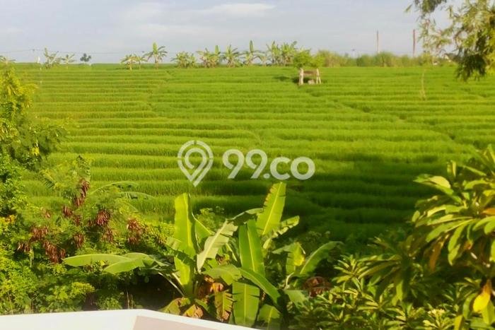 Tanah Potensial Kawasan , Luas 1715m2m², Pinggir Jalan Tanah Potensial Kawasan , Luas 1715m2m², Pinggir Jalan