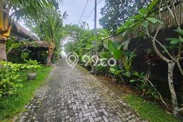 Untuk Dijual Tanah 320m2 di canggu, Badung Untuk Dijual Tanah 320m2 di canggu, Badung
