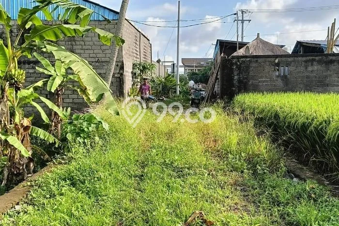 Disewakan Tanah di Ubud Luas 978m2 SHM Disewakan Tanah di Ubud Luas 978m2 SHM