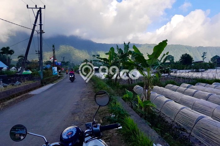 Kavling Tanah untuk Dijual di Bedugul, Tabanan, Luas 4200m2 Kavling Tanah untuk Dijual di Bedugul, Tabanan, Luas 4200m2