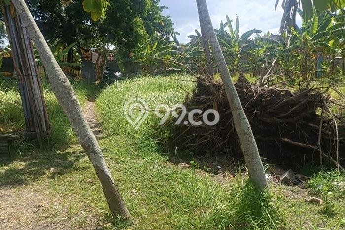Tanah Kosong Dijual di Badung dengan Area 1276m2 Tanah Kosong Dijual di Badung dengan Area 1276m2