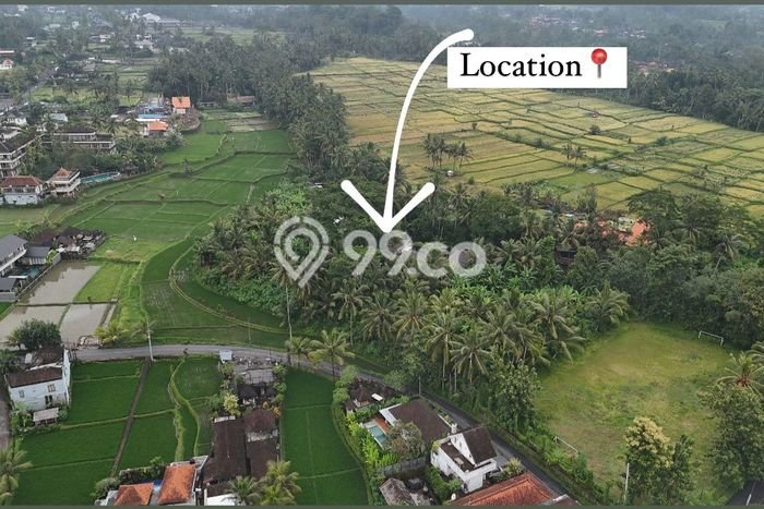 Tanah Kavling di Ubud Gianyar Disewakan dengan Luas 6500m2 Tanah Kavling di Ubud Gianyar Disewakan dengan Luas 6500m2