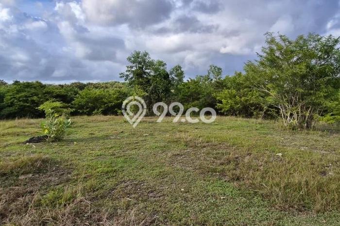 Tanah Dijual di Badung Seluas 10400m2 Strategis Tanah Dijual di Badung Seluas 10400m2 Strategis