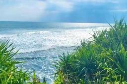 Dijual Tanah Lokasi Beraban, Tabanan Seluas 3600m2 Dijual Tanah Lokasi Beraban, Tabanan Seluas 3600m2