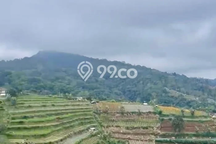 Tanah Kavling Dijual di Bedugul, Tabanan dengan Luas Tanah 12000m2 Tanah Kavling Dijual di Bedugul, Tabanan dengan Luas Tanah 12000m2