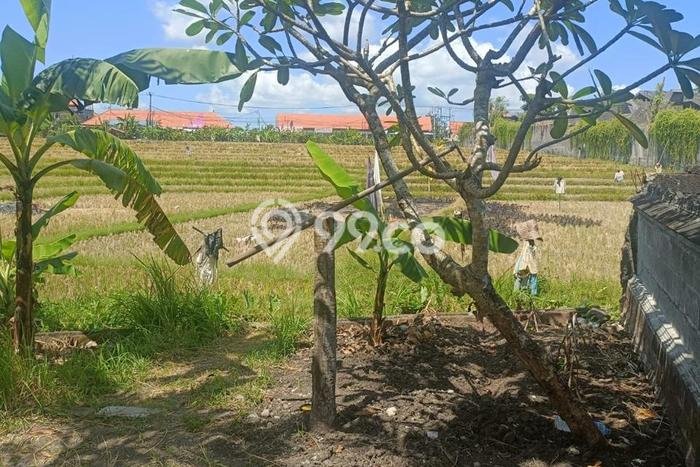 Tanah Kosong Dijual di Badung dengan Area 1276m2 Tanah Kosong Dijual di Badung dengan Area 1276m2