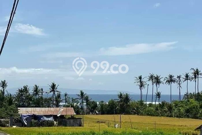 Kavling Tanah untuk Dijual di Ketewel, Gianyar, Luas 197m2 Kavling Tanah untuk Dijual di Ketewel, Gianyar, Luas 197m2