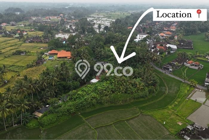 Tanah Kavling di Ubud Gianyar Disewakan dengan Luas 6500m2 Tanah Kavling di Ubud Gianyar Disewakan dengan Luas 6500m2