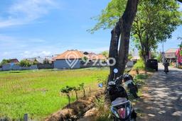 Jarang Ada! Tanah Kavling Disewakan di Badung 4000m2 Jarang Ada! Tanah Kavling Disewakan di Badung 4000m2