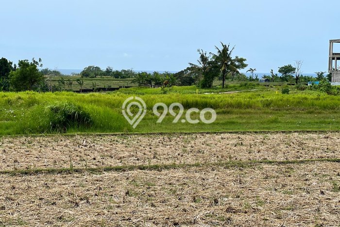 Dijual Tanah Lokasi Kedungu, Tabanan Seluas 500m2 Dijual Tanah Lokasi Kedungu, Tabanan Seluas 500m2