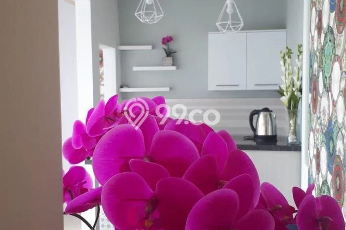 Unit Kost Dijual di Pemogan dengan 8 Kamar Kawasan Strategis Unit Kost Dijual di Pemogan dengan 8 Kamar Kawasan Strategis