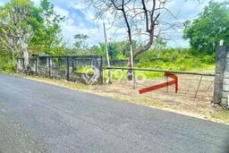 Tanah Investasi Dijual di Badung Punya Luas 553m2 Tanah Investasi Dijual di Badung Punya Luas 553m2