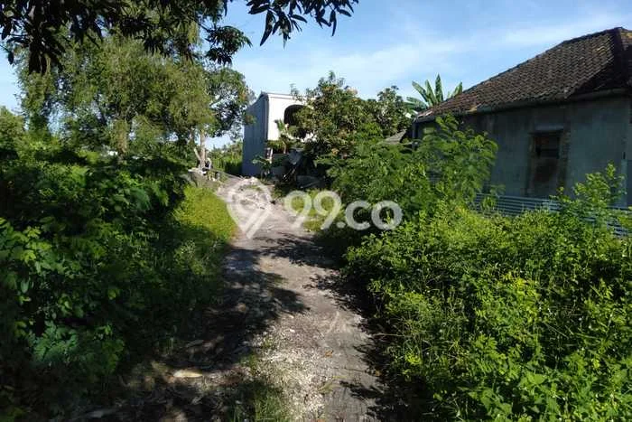 Dijual Tanah Lokasi Tibubeneng, Badung Seluas 4110m2 Dijual Tanah Lokasi Tibubeneng, Badung Seluas 4110m2