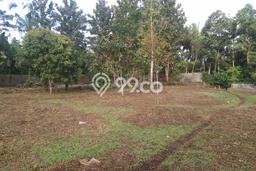 Jarang Ada! Tanah di Penebel Punya Luas 10210m2 SHM Jarang Ada! Tanah di Penebel Punya Luas 10210m2 SHM