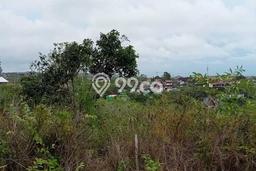 Tanah Investasi Dijual di Badung Punya Luas 15000m2 Tanah Investasi Dijual di Badung Punya Luas 15000m2