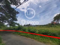 Tanah Dijual Lokasi Strategis di Denpasar dengan Luas 1775m2 Tanah Dijual Lokasi Strategis di Denpasar dengan Luas 1775m2