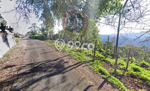 Lahan Investasi Lokasi Kubutambahan Buleleng - Lahan Investasi Lokasi Kubutambahan Buleleng -