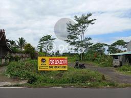 Kavling Tanah Lokasi Strategis di Ubud, Gianyar Disewakan 2200m2 Kavling Tanah Lokasi Strategis di Ubud, Gianyar Disewakan 2200m2