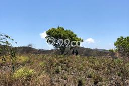 Untuk Dijual Tanah di Nusa Penida Semarapura Luas 3950m2 SHM Untuk Dijual Tanah di Nusa Penida Semarapura Luas 3950m2 SHM