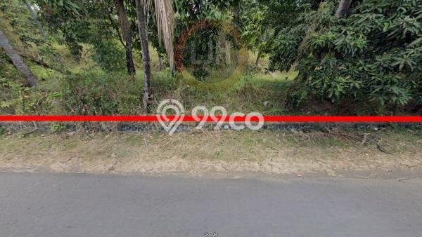 Lahan untuk Dijual Lokasi Kubutambahan, Buleleng Luas 6500m2 - Lahan untuk Dijual Lokasi Kubutambahan, Buleleng Luas 6500m2 -