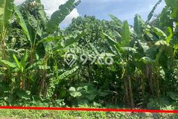 Tanah Dijual di Tabanan Seluas 7068m2 Strategis Tanah Dijual di Tabanan Seluas 7068m2 Strategis
