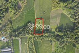 Lahan untuk Dijual Lokasi Selemadeg, Tabanan Luas 3350m2 SHM Lahan untuk Dijual Lokasi Selemadeg, Tabanan Luas 3350m2 SHM