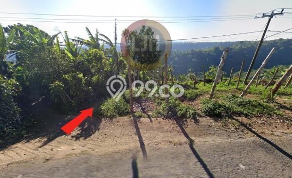 Lahan Investasi Lokasi Kubutambahan Buleleng - Lahan Investasi Lokasi Kubutambahan Buleleng -