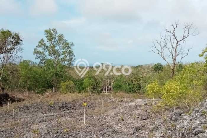 Lahan Dijual Lokasi Strategis di Badung dengan Luas 15000m2 Lahan Dijual Lokasi Strategis di Badung dengan Luas 15000m2