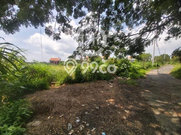 Tanah Dijual di Denpasar Seluas 1775m2 Strategis Tanah Dijual di Denpasar Seluas 1775m2 Strategis