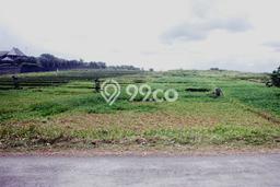 Untuk Dijual Tanah di Tabanan, Luas 8175m2 SHM Untuk Dijual Tanah di Tabanan, Luas 8175m2 SHM