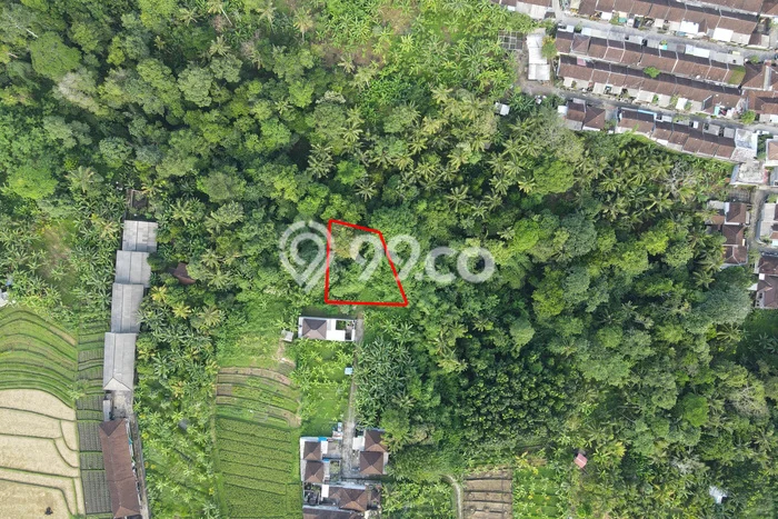 Dijual Tanah 375m2 di Bongan, Tabanan Dijual Tanah 375m2 di Bongan, Tabanan