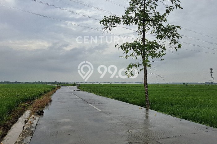 Tanah Kavling untuk Dijual di Karawang Barat Karawang 61582m2 Tanah Kavling untuk Dijual di Karawang Barat Karawang 61582m2