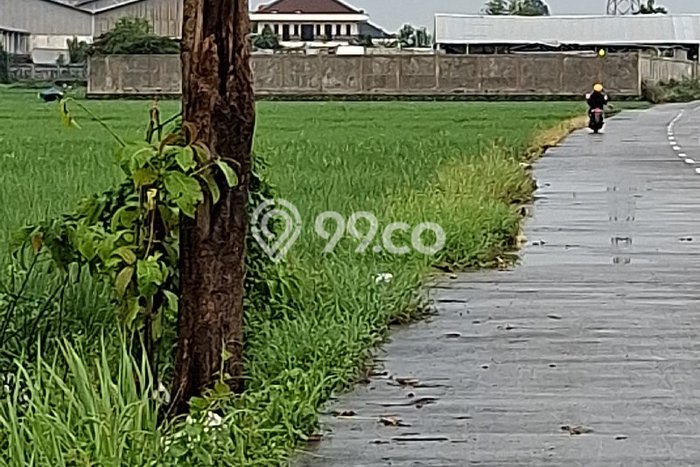 Tanah Kavling untuk Dijual di Karawang Barat Karawang 61582m2 Tanah Kavling untuk Dijual di Karawang Barat Karawang 61582m2