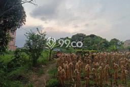 Tanah Dijual di Medan Seluas 883m2 Strategis Tanah Dijual di Medan Seluas 883m2 Strategis