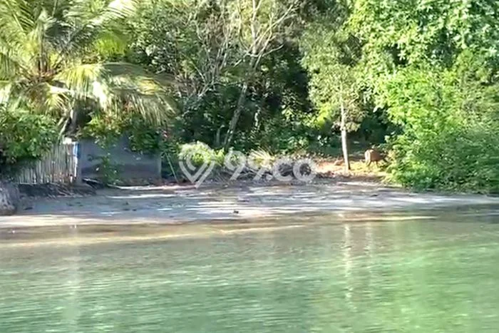 Lahan untuk Dijual di Sekotong Lombok Barat Luas 1000m2 Lahan untuk Dijual di Sekotong Lombok Barat Luas 1000m2