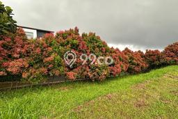 Untuk Dijual Tanah di Bogor, Luas 502m2 PPJB Untuk Dijual Tanah di Bogor, Luas 502m2 PPJB