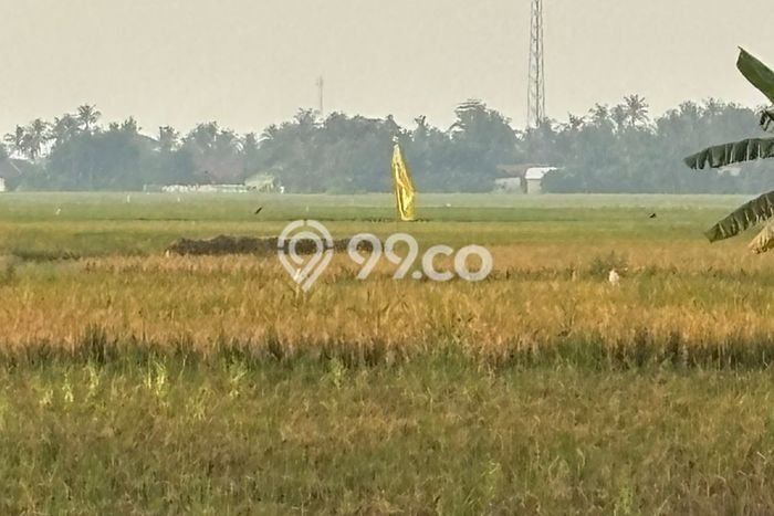 Kavling Tanah Dijual di Sepatan, Tangerang, Luas 23000m2 Area Strategis Kavling Tanah Dijual di Sepatan, Tangerang, Luas 23000m2 Area Strategis