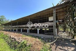 Lahan Kosong Dijual di Cijeruk, Bogor, Luas 16000m2 Area Strategis Lahan Kosong Dijual di Cijeruk, Bogor, Luas 16000m2 Area Strategis