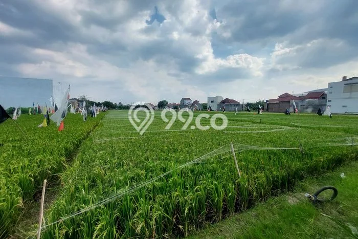 Lahan Kosong Dijual di Surakarta dengan Area 95m2 Lahan Kosong Dijual di Surakarta dengan Area 95m2