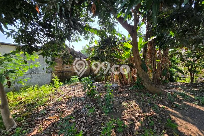 Dijual Tanah di Polokarto Sukoharjo Luas 306m2 SHM Dijual Tanah di Polokarto Sukoharjo Luas 306m2 SHM