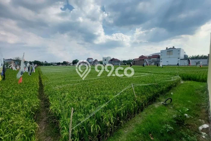 Lahan Kosong Dijual di Surakarta dengan Area 95m2 Lahan Kosong Dijual di Surakarta dengan Area 95m2
