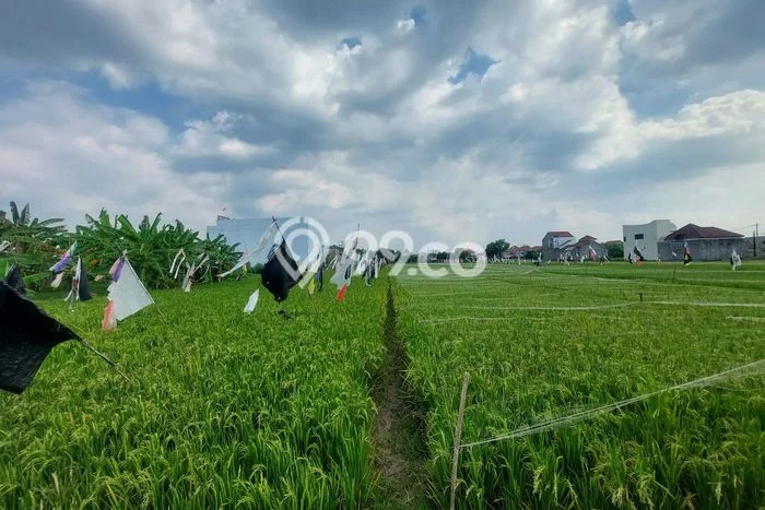 Lahan Kosong Dijual di Surakarta dengan Area 95m2 Lahan Kosong Dijual di Surakarta dengan Area 95m2