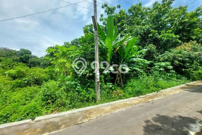 Kavling Tanah Dijual di Tasikmadu Karanganyar Spesifikasi 710m2 Kavling Tanah Dijual di Tasikmadu Karanganyar Spesifikasi 710m2