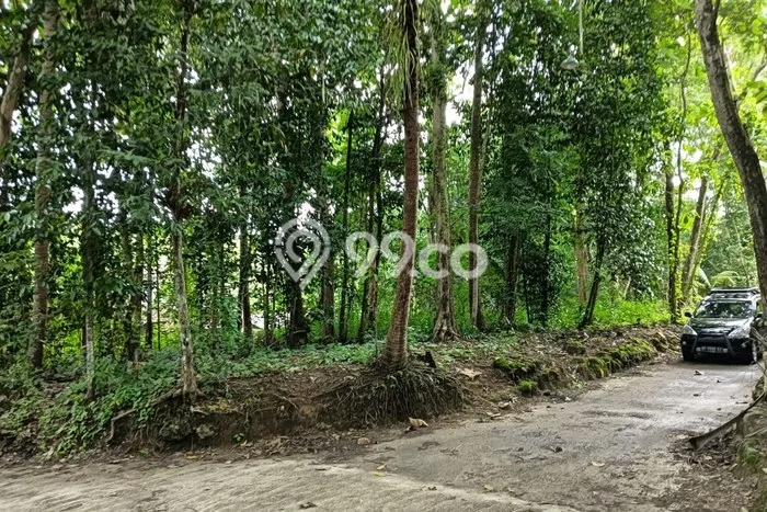 Tanah Siap Bangun Dijual di Yogyakarta Punya Luas 691m2 Tanah Siap Bangun Dijual di Yogyakarta Punya Luas 691m2