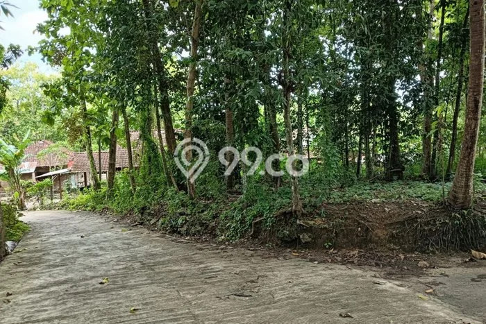 Tanah Siap Bangun Dijual di Yogyakarta Punya Luas 691m2 Tanah Siap Bangun Dijual di Yogyakarta Punya Luas 691m2