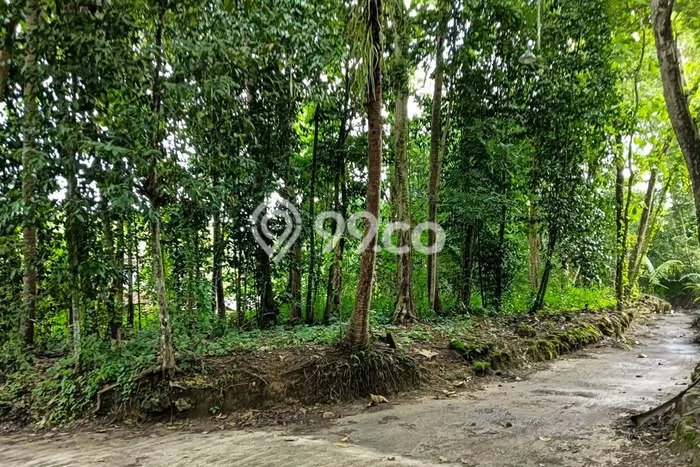 Tanah Siap Bangun Dijual di Yogyakarta Punya Luas 691m2 Tanah Siap Bangun Dijual di Yogyakarta Punya Luas 691m2